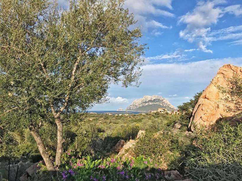 Villa Le Caterine Porto San Paolo  Esterno foto